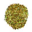 Glitter Sim Epoksi Süsleme Aksesuarı (100 GR)  Gold