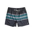 Erkek Şort All Day Stripes Lb C1LB02-19