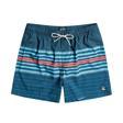 Erkek Şort All Day Stripes Lb C1LB02-21