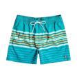 All Day Stripes Lb Erkek Şort C1LB02-10133
