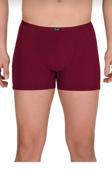 4488 BERRAK MODAL İNCE LASTİKLİ BOXER 10 LU