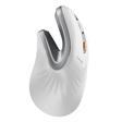 ProtoArc EM11 NL Beyaz Kablosuz Ergonomik Dikey Mouse (CP015642)