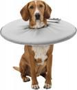 Trixie Kedi-Köpek Yakalığı XS 23-27cm 13cm Gri