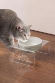 Tekli Seramik Dekoratif Kedi Ve Köpek Pleksi Mama & Su Kabı Kedi Paspası