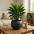 Omnipazar SO-KURS1 Dekoratif Modern Yuvarlak Küre Saksı 7.5 litre No 1 