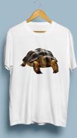 Oversize Kaplumbağa Tasarım unisex T-shirt
