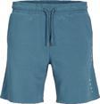 Jack&Jones Jpstgordon Star Erkek Şort 12248831