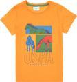 U.S. Polo Assn. Erkek Çocuk T-shirt 2104889