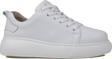 Trend Adımlar Beyaz Aura Kadın Hakiki Deri Sneaker