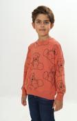 Toontoy Erkek Çocuk Komple Ayı Baskılı Sweatshirt