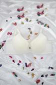 Le Jardin 9400-B Destekli-Balenli Micro Soft Sütyen