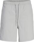 Jack Jones Jpstjaıden Jjhook Tech Shorts Erkek Gri Şort 12253173-05