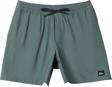 Quiksilver Surfsılk Solıd Volley 16 Erkek Yeşil Şort Aqyjv03141-18563