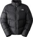 The North Face M Saıkuru Jacket Erkek Siyah Mont Nf0a853ijk31