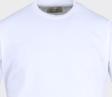 Erkek Bisiklet Yaka Kısa Kol T-Shirt