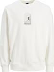 Jack Jones Destıny Sweat Crew Neck Tg Erkek Beyaz Sweatshirt 12243615-01