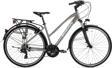 BİSAN 8200 CİTY ŞEHİR BİSİKLETİ 45 CM V 700C 21 VİTES AÇIK METALİK GRİ BEYAZ PEMBE