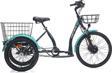 Carraro E-Pack 2.1 24 jant Elektrikli Bisiklet