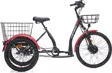 Carraro E-Pack 2.1 24 jant Elektrikli Bisiklet