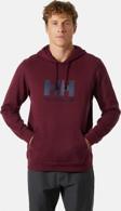 Helly Hansen Logo Hoodıe Kapişonlu Erkek Antrasit Sweatshirt Hha.33977-hha.658