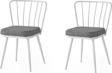 Modern Mutfak Cafe Bahçe Sandalyesi Buse 2 Li Set