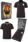 Galatasaray Orijinal Lisanslı Polo Yaka Siyah Antrenman T-Shirt Gs Aslan Baskılı Ahşap Kutu