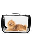 Northern Fashion Fly Bag Kedi Köpek Taşıma Çantası Kuş Taşıma Çantası Evcil Hayvan Taşıma Çantası