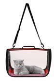 Northern Fashion Fly Bag Kedi Köpek Taşıma Çantası Kuş Taşıma Çantası Evcil Hayvan Taşıma Çantası