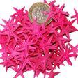 Polyester Deniz Yıldızı Minik Boy  0.5 CM- 1.5 CM (100 Adet)  Fuşya