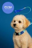 Moodpaw Sky Mood Ayarlanabilir Köpek Boyun Ve Gezdirme Tasması Seti