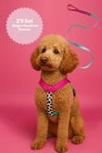 Moodpaw Sugar Mood Çekiştirme Önleyici Ayarlanabilir H Tipi Köpek Göğüs Ve Gezdirme Tasması Seti