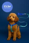 Moodpaw Sky Mood Çekiştirme Önleyici Ayarlanabilir H Tipi Köpek Göğüs Ve Gezdirme Tasması Seti