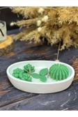 Landle El Yapımı Dekoratif Kayık Kase Soya Mum | Sukulent Çiçekleri Ve Yeşil Yapraklar Konsept Mum
