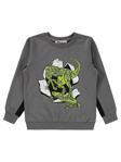 Civil Boys Dinozor Baskılı 2-5 Yaş Sweatshirt - Gri2-3 Yaş