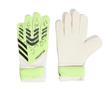 adidas Pred Gl Trn Erkek Futbol Kaleci Eldiveni JN5356 Sarı