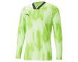 Puma Teamtarget Gk Ls Jersey Erkek Kaleci Forması 70564620 Yeşil