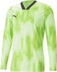 Puma Teamtarget Gk Ls Jersey Erkek Kaleci Forması 70564620 Yeşil