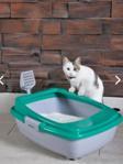 Renetic Açık Kedi Tuvaleti