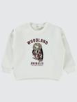 Civil Girls Pullu Baykuş Baskılı 2-5 Yaş Sweatshirt - Ekru4-5 Yaş