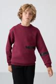 Erguvan Pamuklu Kalın İçi Tüylü Yumuşak Dokulu Standart Fit Baskılı Erkek Çocuk Sweatshirt - 11238