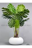 Biçiçek Yapay Monstera Ağacı 150-170 Cm