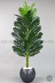 Biçiçek Yapay Areka Ağacı 160-180 Cm