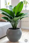 Biçiçek Küre Saksı 25 - 37 - 51 Cm Çap