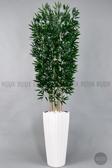 Biçiçek Yapay Bambu Ve Benjamin 6 Dallı Yoğun Yapraklı 220 Cm