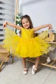 Kız Çocuk Kabarık Etekli Elbise Inci Detaylı