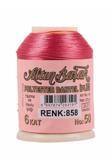 Altınbaşak Polyester Dantel Ipliği 6 Kat 20 Gr Renk 858