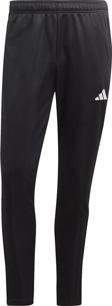 adidas TIRO23 CB TRPNT HS3619