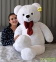 Özgüner Oyuncak Dev Büyük Peluş Ayıcık 170 Cm  Beyaz