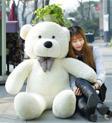 Pandamkee 160 Cm Papyonlu Büyük Ayıcık Lila %100 Yerli