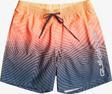 Quiksilver Warped Logo 17 Jamv Erkek Deniz Şortu